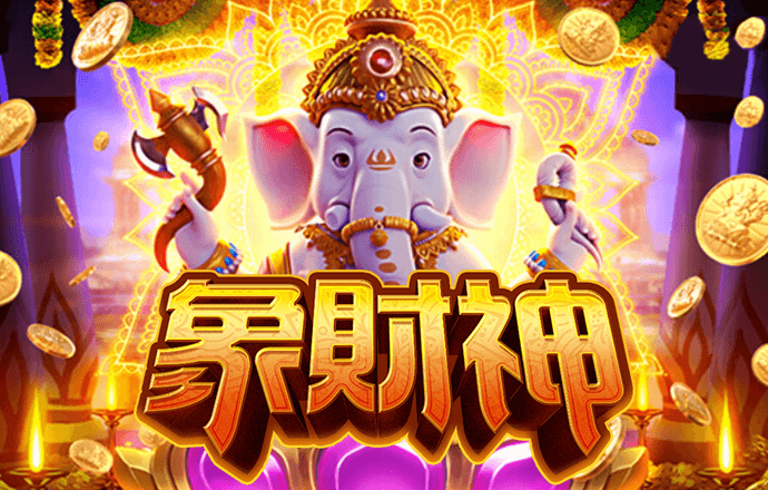 王中王精准