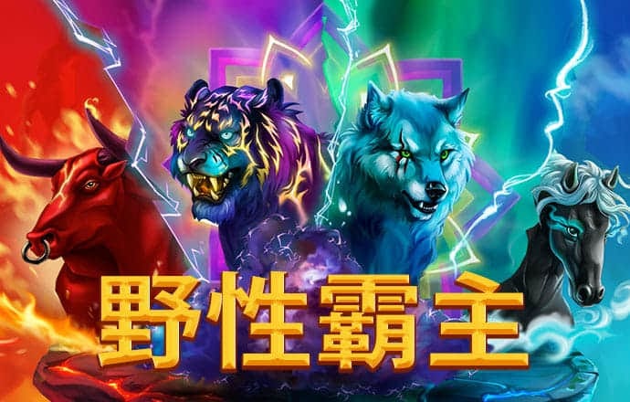 玩球app大全